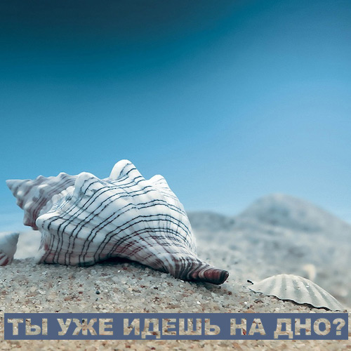 Константин Мишин